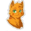 Коты воители или Warriors cats 25