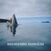 ТРЕНДИ UA @trendy_U 16