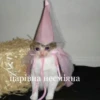 ТРЕНДИ UA @trendy_U 18