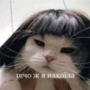 ТРЕНДИ UA @trendy_U 20