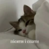 ТРЕНДИ UA @trendy_U 23