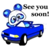 Jewel Panda 💥🐼 11