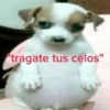 Stickers pal grupo mi so😎 6