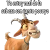 Ya estoy mal de la cabeza con tanto pocoyo
