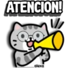 Un gatito educado😺⭐ 14