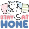 alexa STAY CAT HOME