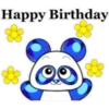 Jewel Panda 💥🐼 27