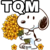 TOM Cegrolazdio