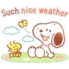 Snoopy Acua🌸🌷 29