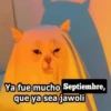 Memes Respuestas 6 16
