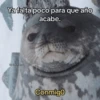 Memes Respuestas 6 25