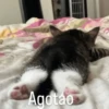 Memes Respuestas 6 19