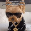 Memes Respuestas 6 28