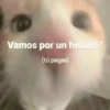 Memes Respuestas 6 21