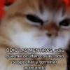Memes Respuestas 6 24