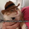 Memes Respuestas 6 29