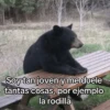 Memes Respuestas 6 22