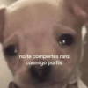 Memes Respuestas 6 20