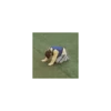 K-POP TANTRUM 6