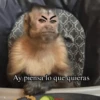 Changuitos 🙉🙈🙊🐒 (sticker.fan) 11