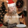 Changuitos 🙉🙈🙊🐒 (sticker.fan) 15