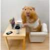 hamster memes 6