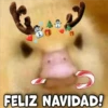 GeysiOy
FELIZ NAVIDAD!