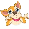 Chihuahua Chica 5