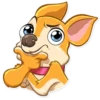Chihuahua Chica 7
