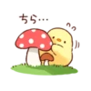 Soft and cute chick 9