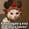 GeysiOy
K más regalo q está
preciosura kieres?