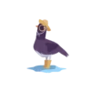 City Pigeons 13