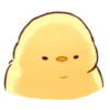 Soft and cute chick 12