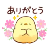 Soft and cute chick 13
