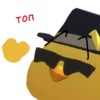 Chicksis 13