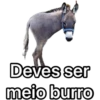 Tuguices III 15