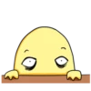 Chicken Egg Yolk 15