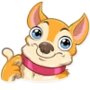 Chihuahua Chica 12