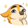 Chihuahua Chica 13