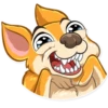 Chihuahua Chica 14