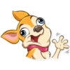 Chihuahua Chica 17