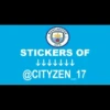 Manchester City 15