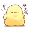 Soft and cute chick 19