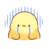Soft and cute chick 20