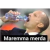 Maremma merda