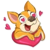 Chihuahua Chica 19