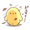 Soft and cute chick 23
