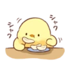 Soft and cute chick 25