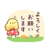 Soft and cute chick 26
