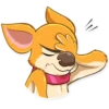 Chihuahua Chica 20